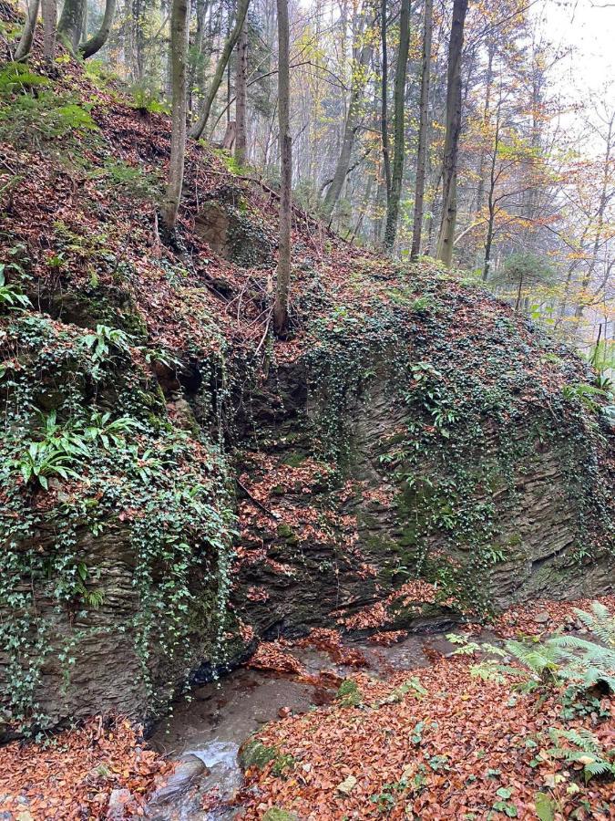 Gaestehaus Schmid Sankt Johann im Saggautal Eksteriør bilde