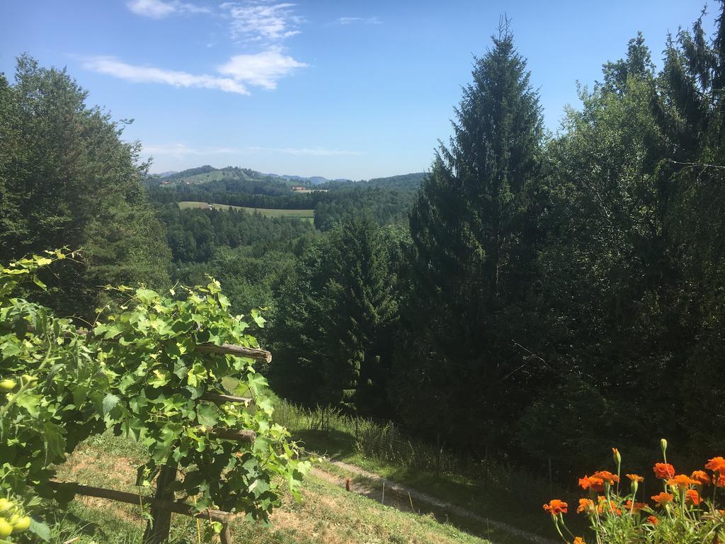 Gaestehaus Schmid Sankt Johann im Saggautal Eksteriør bilde