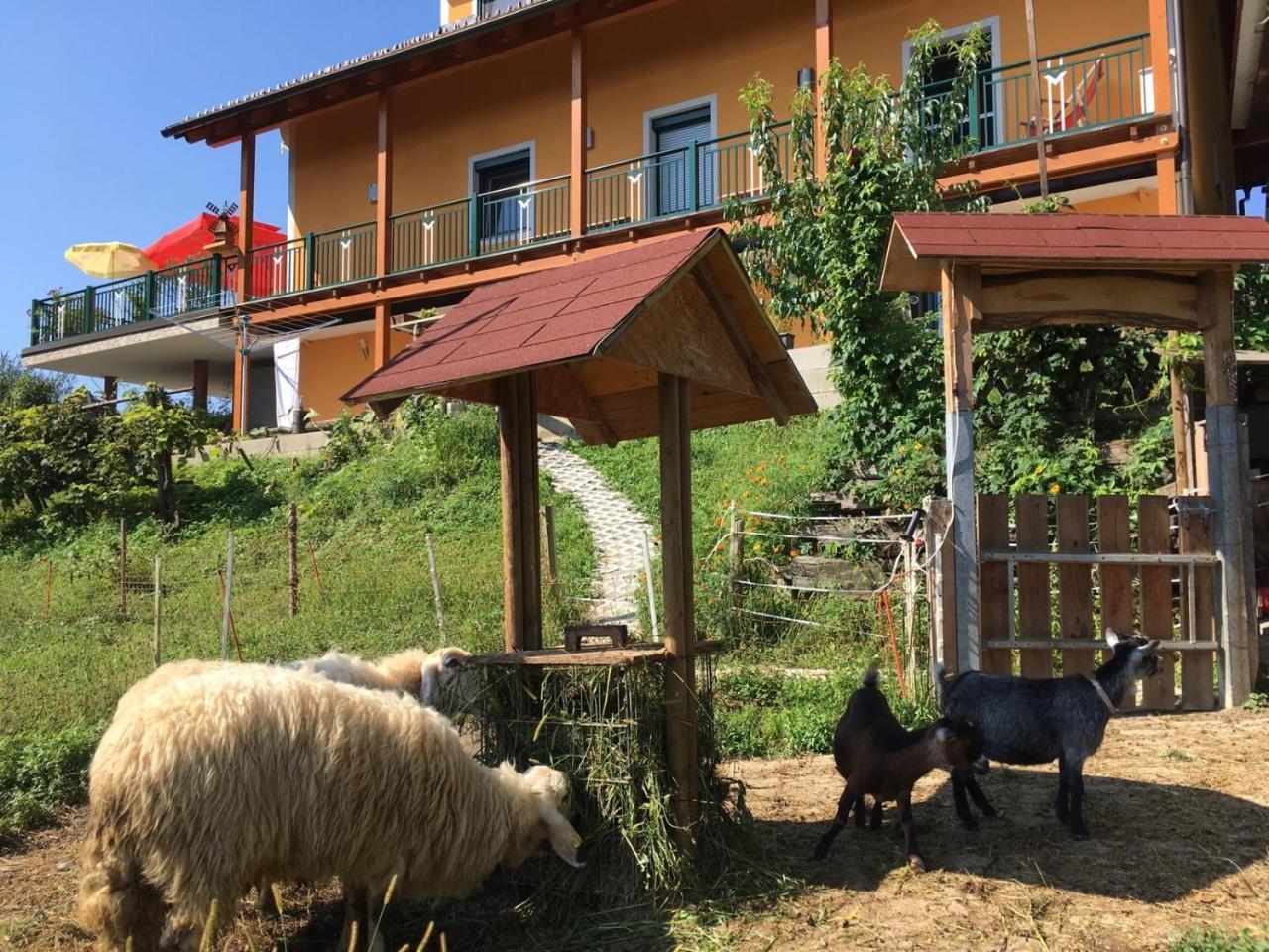 Gaestehaus Schmid Sankt Johann im Saggautal Eksteriør bilde